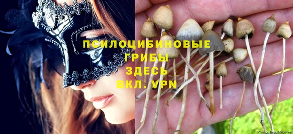 эйфоретик Елизово