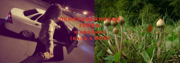эйфоретик Елизово