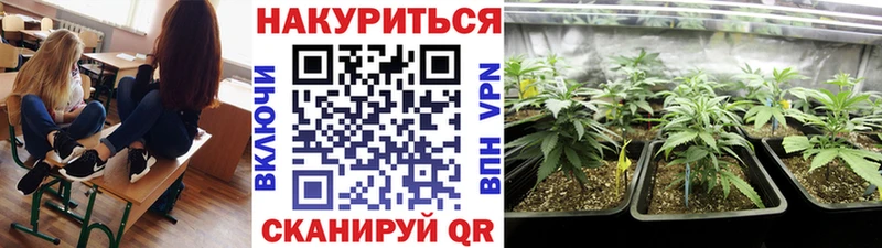 Купить где  Краснодар  Канабис марихуана 